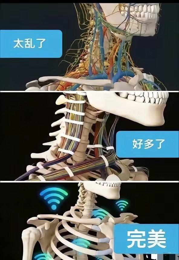 上帝造人，原本如此潦草