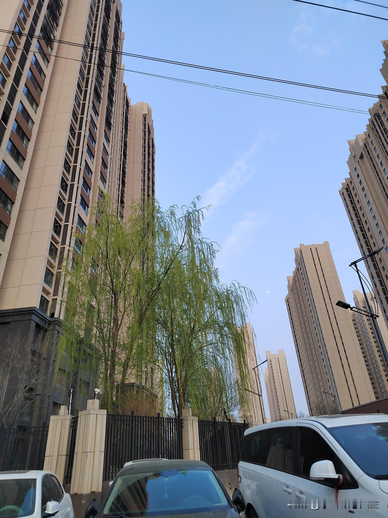 房价真要涨了？别被数据骗了！看了统计局刚公布3月房价，一线楼市确实回暖了，