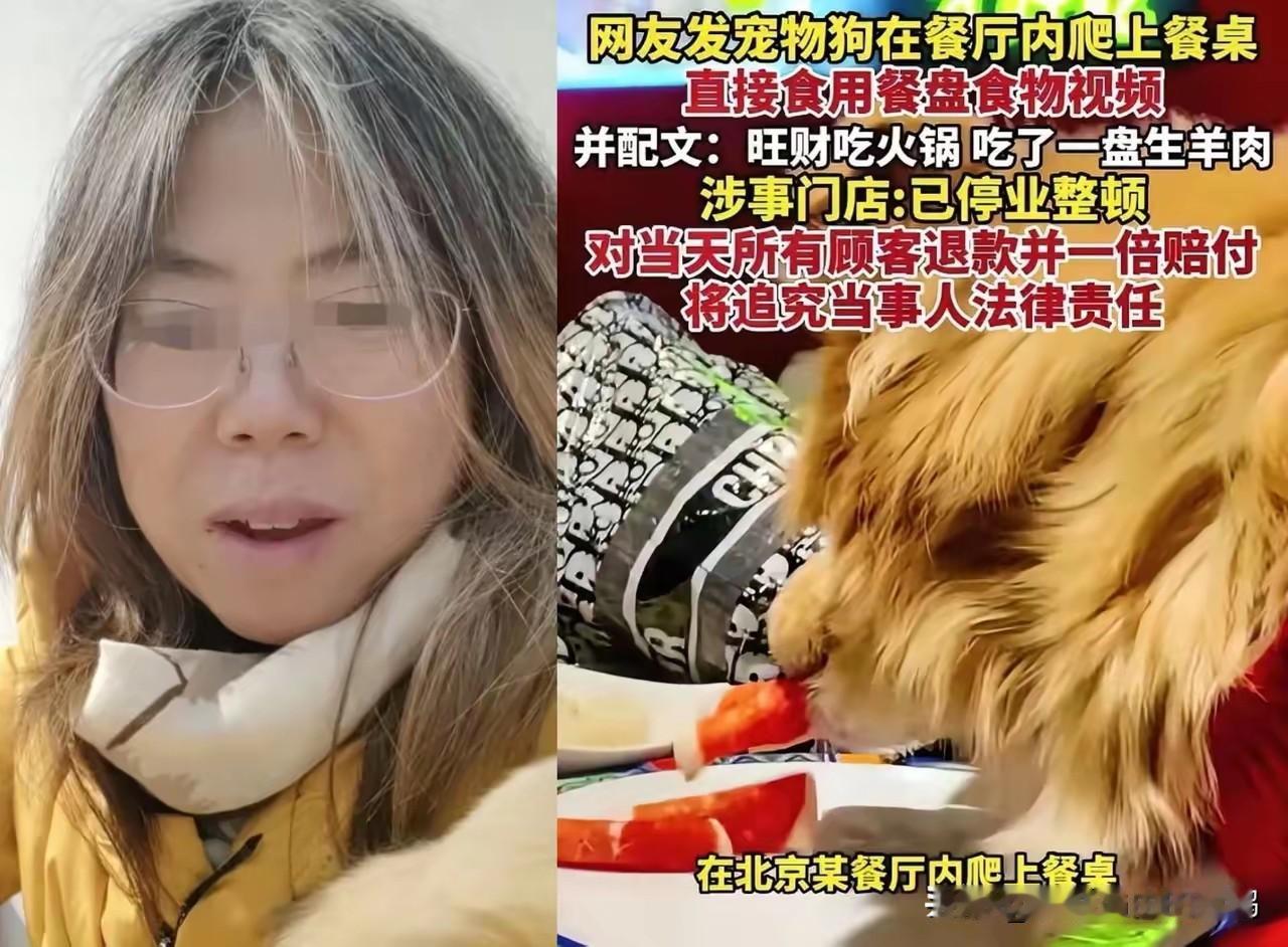 南门刷肉估计悔的肠子都青了不是因为没阻止狗舔盘子，也不是1倍赔偿当日用餐的食客