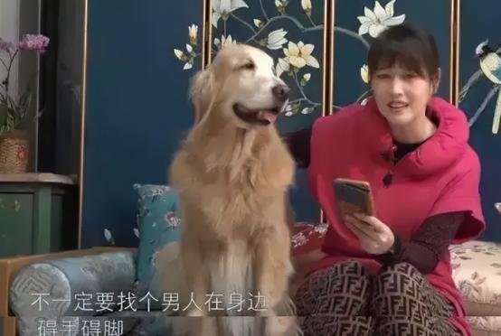 2013年，47岁的周海媚不顾家人的反对，毅然放弃香港的事业，跟随小7岁的男友到