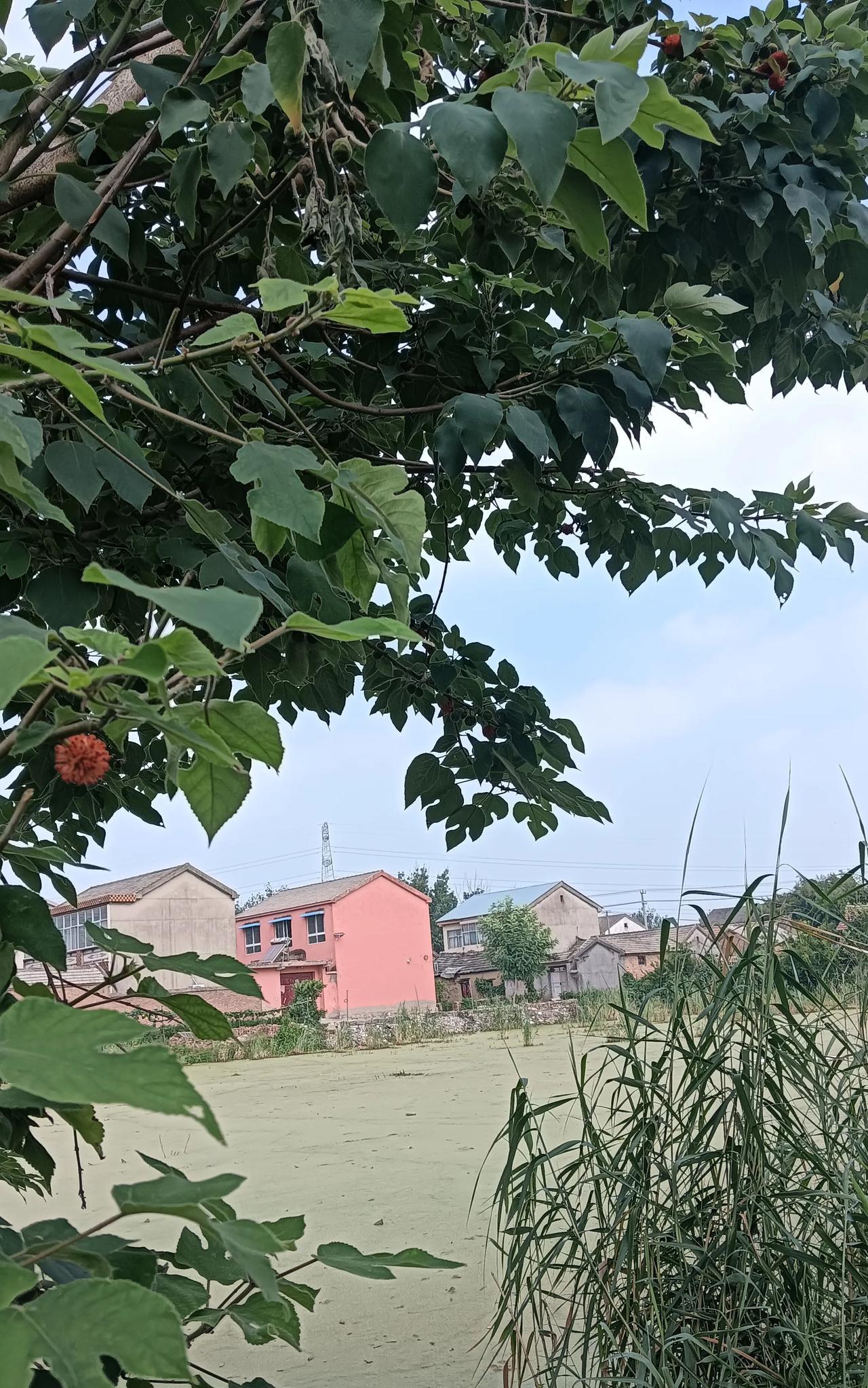 我发现，现实生活中幸福的夫妻普遍存在以下几个特征。1.一个长的丑，一个长的美