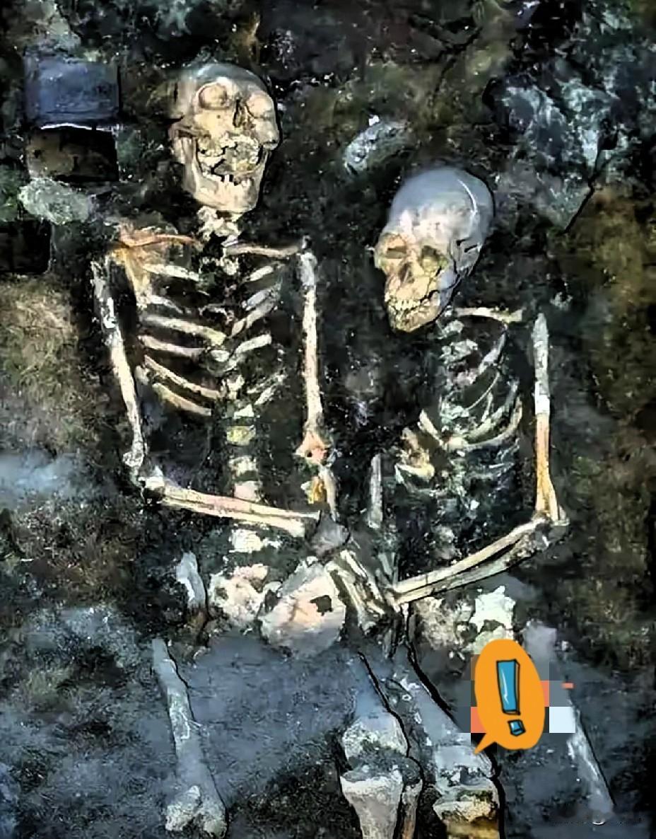 看完心里久久不能平静！沈阳工地意外挖出一对特殊遗骸，紧紧相拥十指相扣，