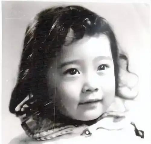 海清出生于一个书香门第，她是家中的独生女。以下是关于她家人的一些情况：海清的父