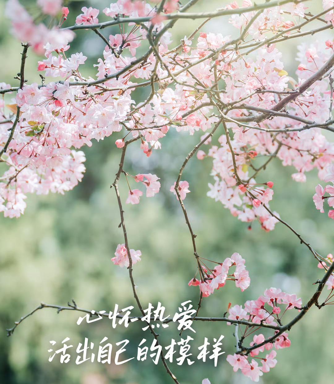 今天，别再叫她女神，请叫她自己你有没有发现，一到妇女节，满屏都是“女神”“