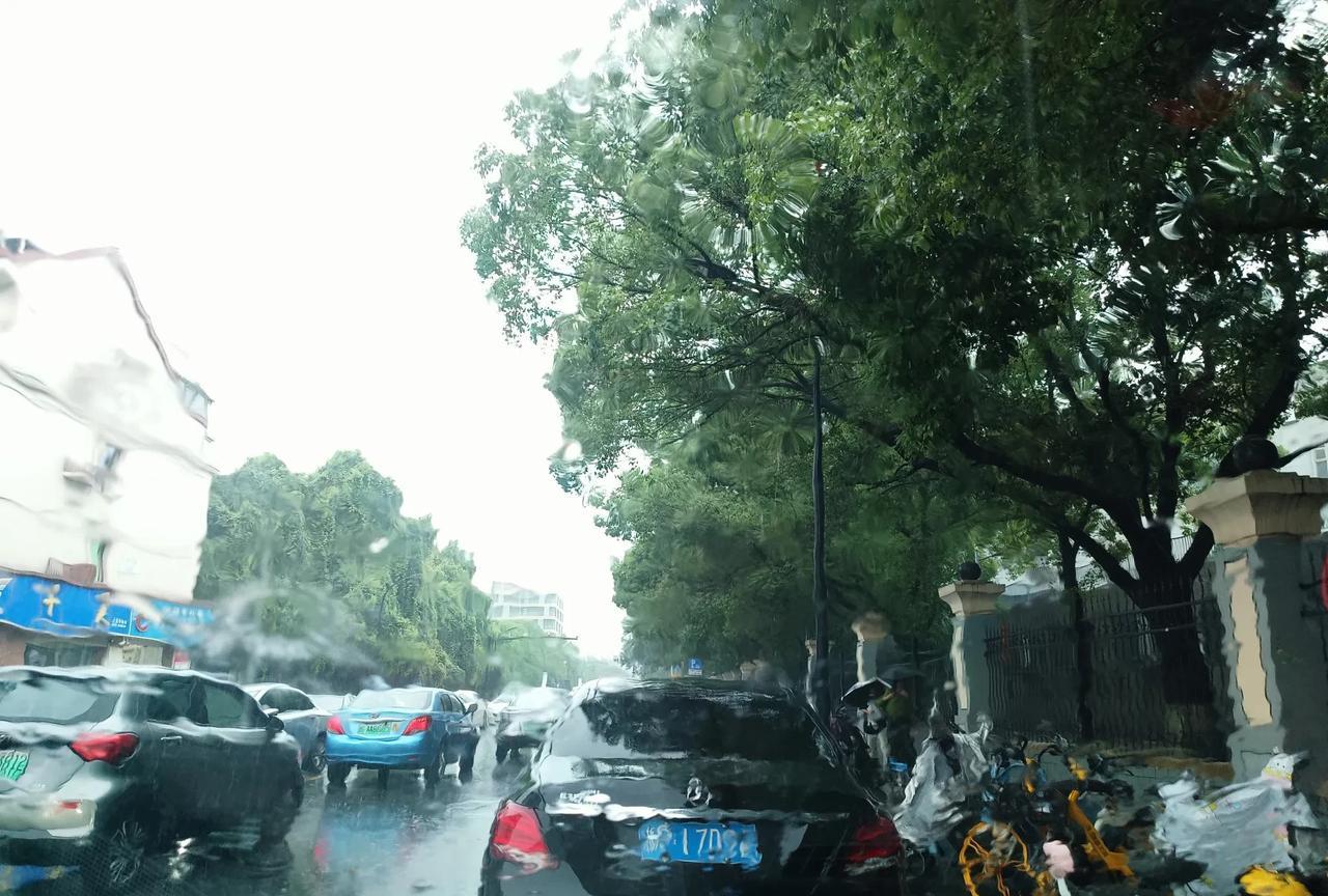 今天下大雨。又到了儿子学校来了，三年了，终于要拿证了，大专，高职。儿子其实是