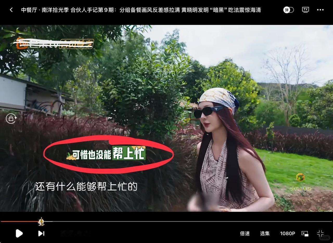 中餐厅第十季第八期加更，靳梦佳身上那句“可惜也没能帮上忙”的花字，被一篇长文拆出