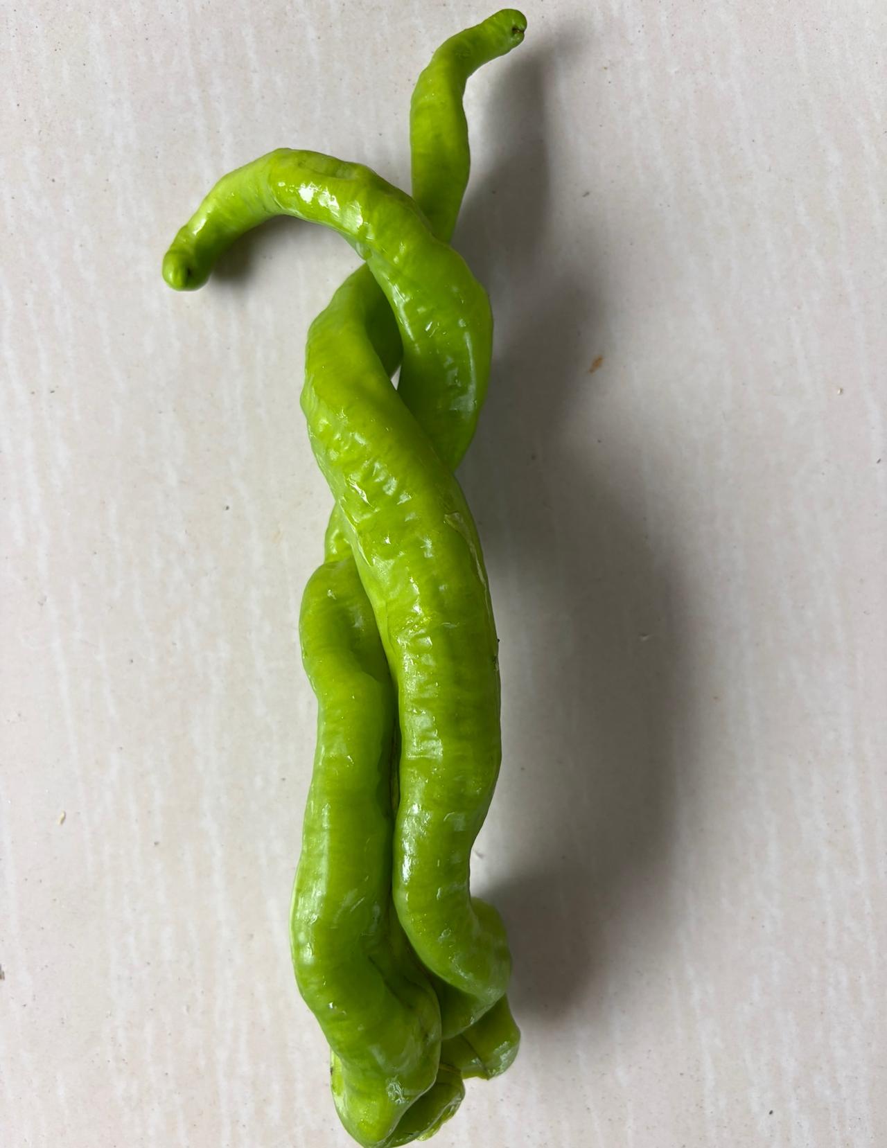 闺蜜结婚三年，她老公至今不知道，她偷偷藏着五十万婚前积蓄。这笔钱是她婚前打工