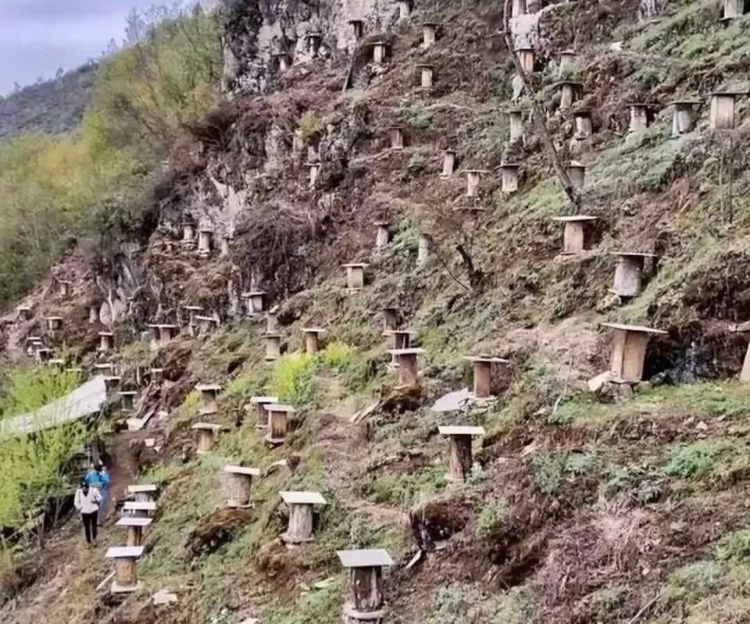 贵州，有几位村民到山上挖药材，经过一座大山的时候，发现两名女子穿着防晒衣，戴着帽