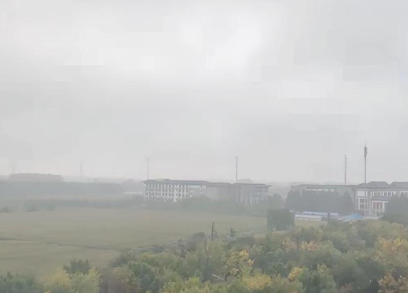 彻底没招了，山东这天气，真是让人哭笑不得。裤衩子有多久没见过阳光味了？我都快忘