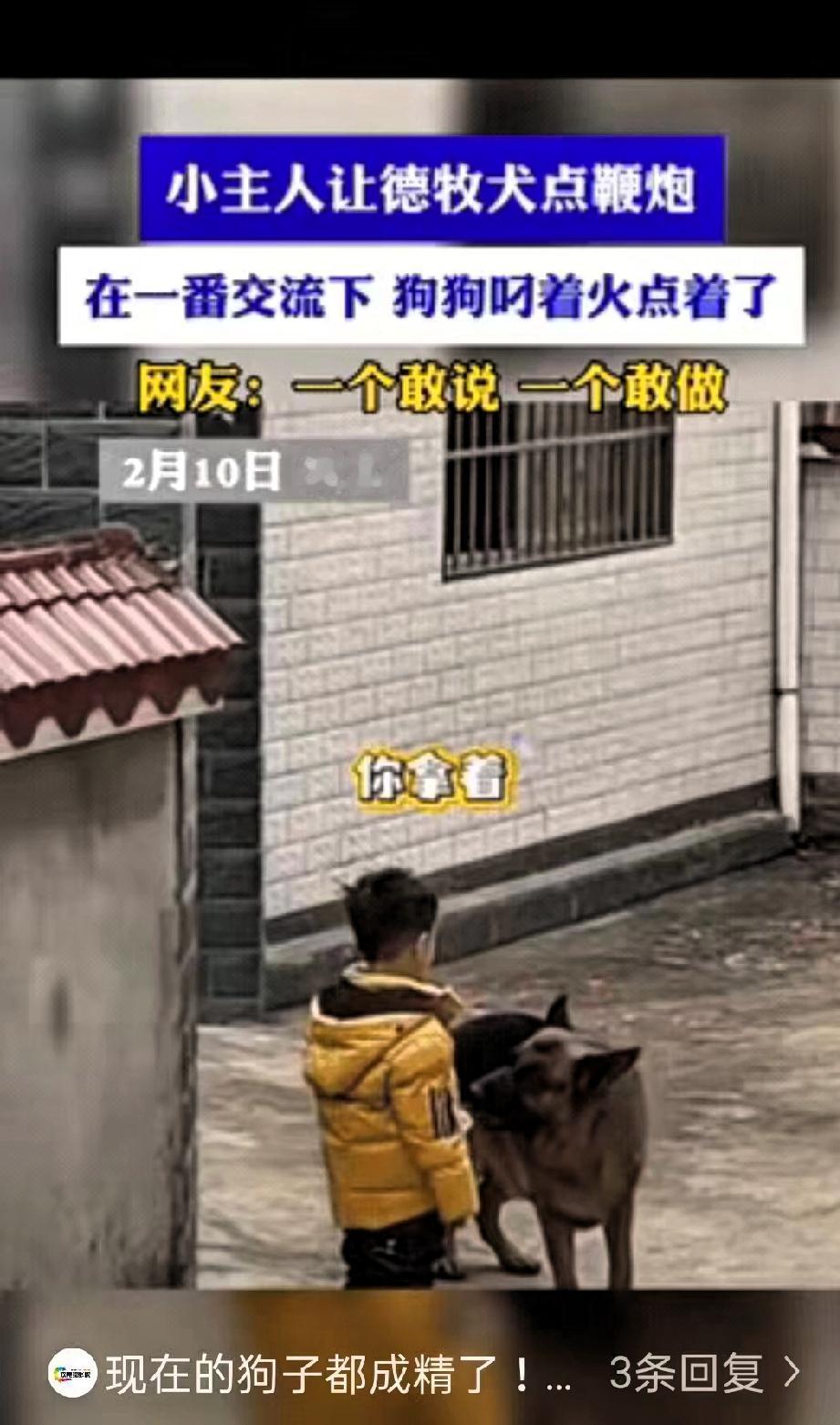 万万没想到！”湖北，一小男孩和自己狗子在门前点鞭炮迎接爸爸回家，可在点鞭炮时，男