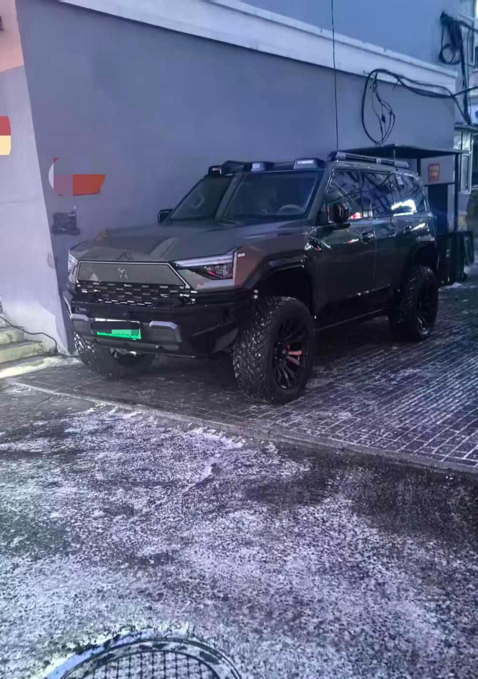 验车的路上看到一辆这个，虽然是绿牌，但难掩霸气！尴尬的是，我竟然不认识，混迹二