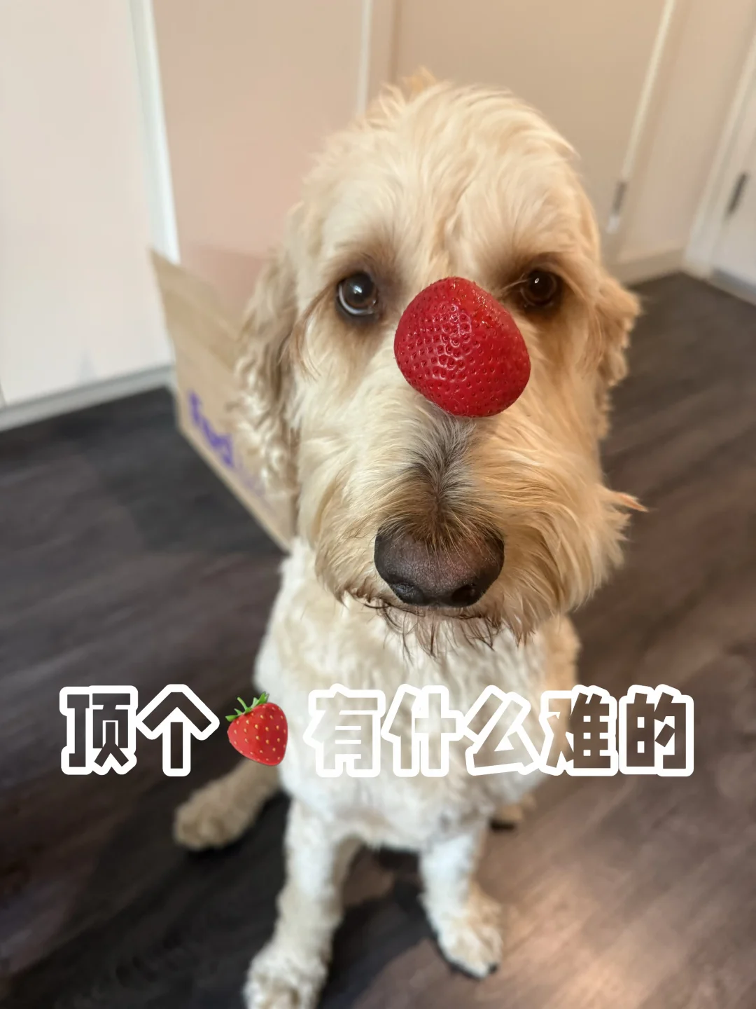 正是在下