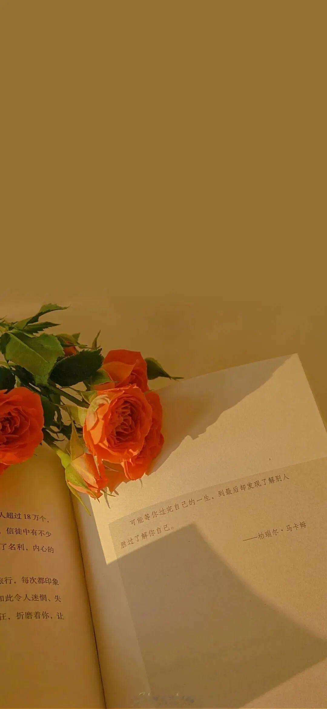 这世上的道路有许多条，每个人都有属于自己的那条。——《十日终焉》早安推文