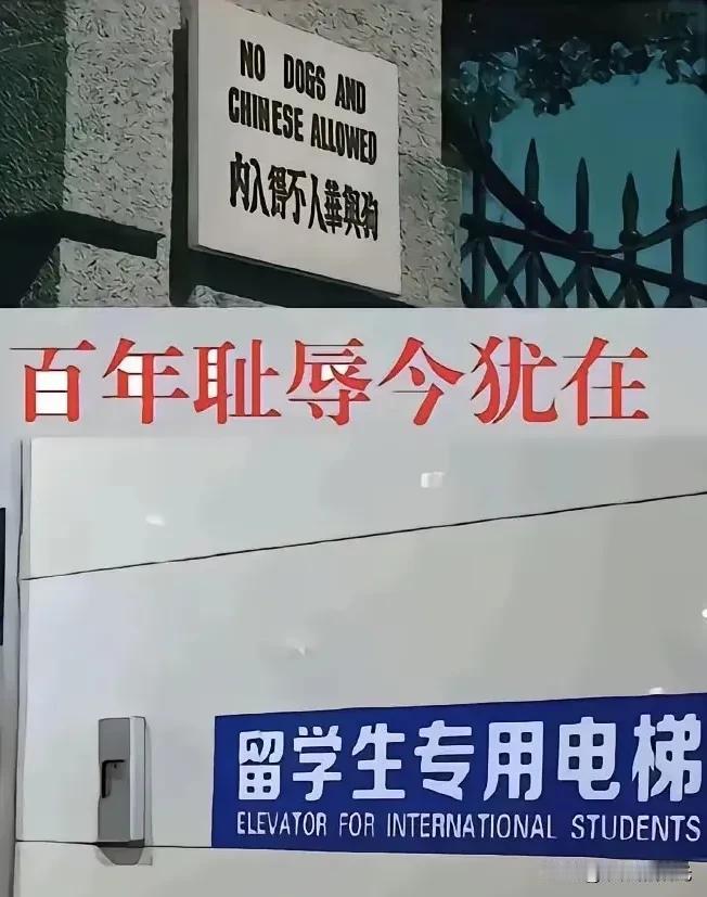 百年耻辱今犹在，自强不息全民来！