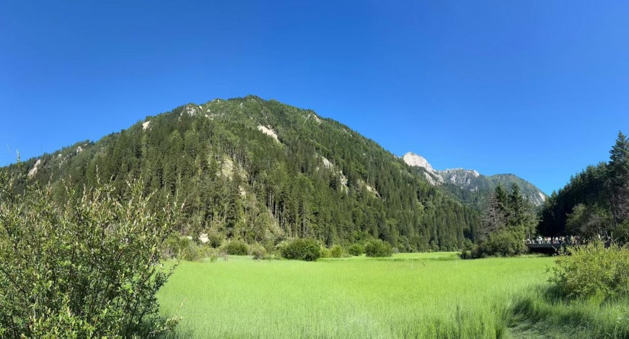 分享手机里随手拍的风景照