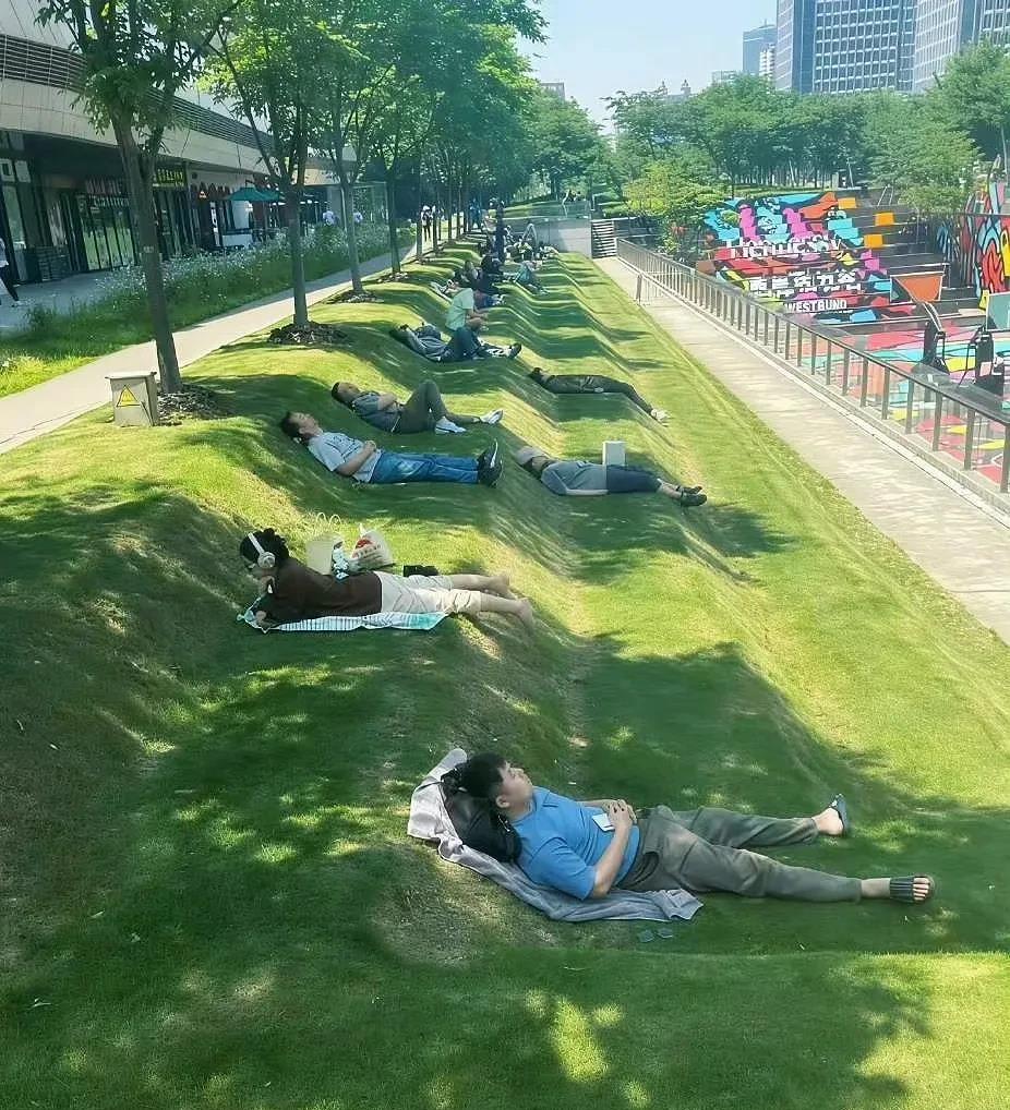 这草坪是哪个天才设计的？
