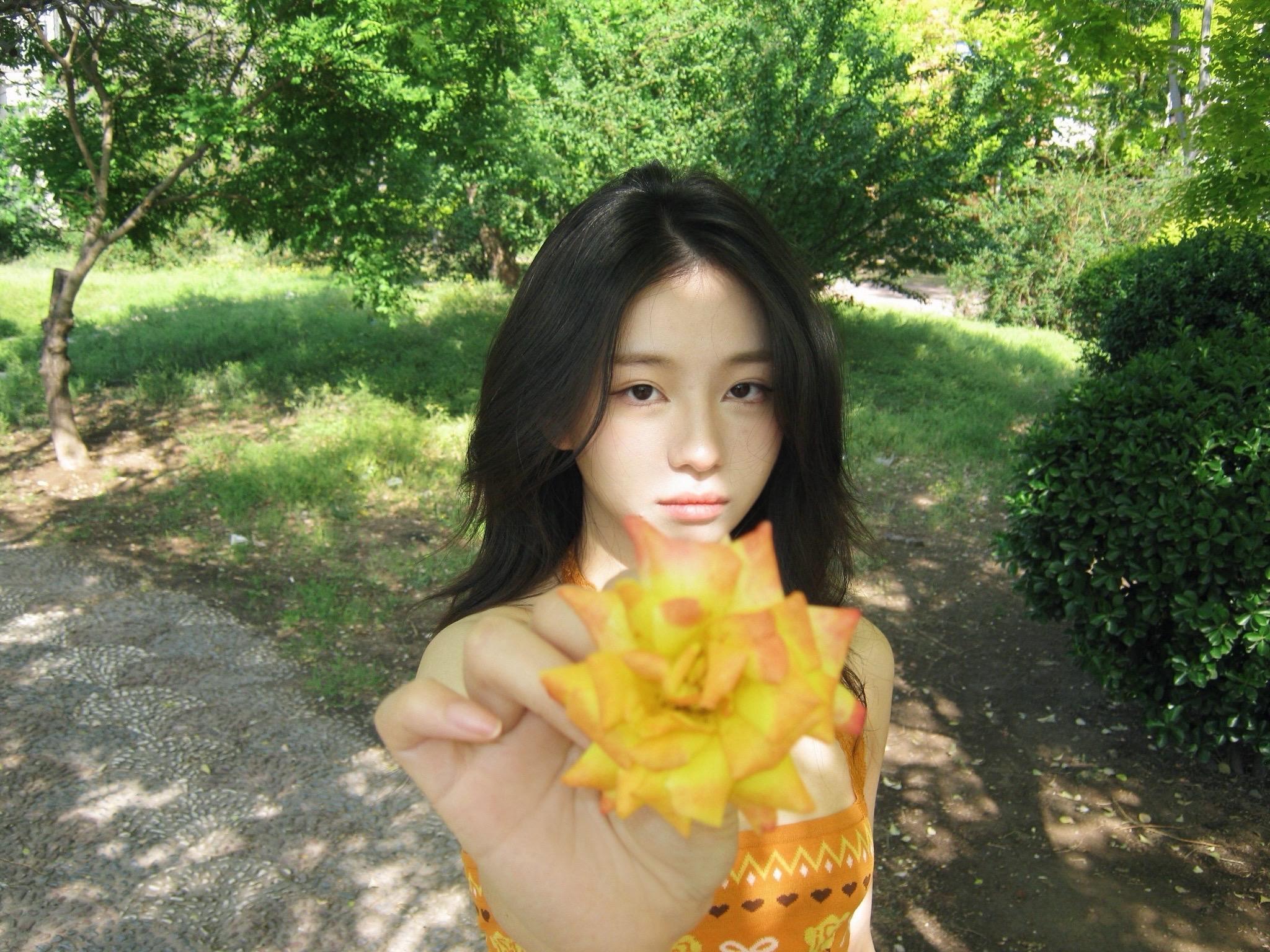 🌼。又是艳阳天