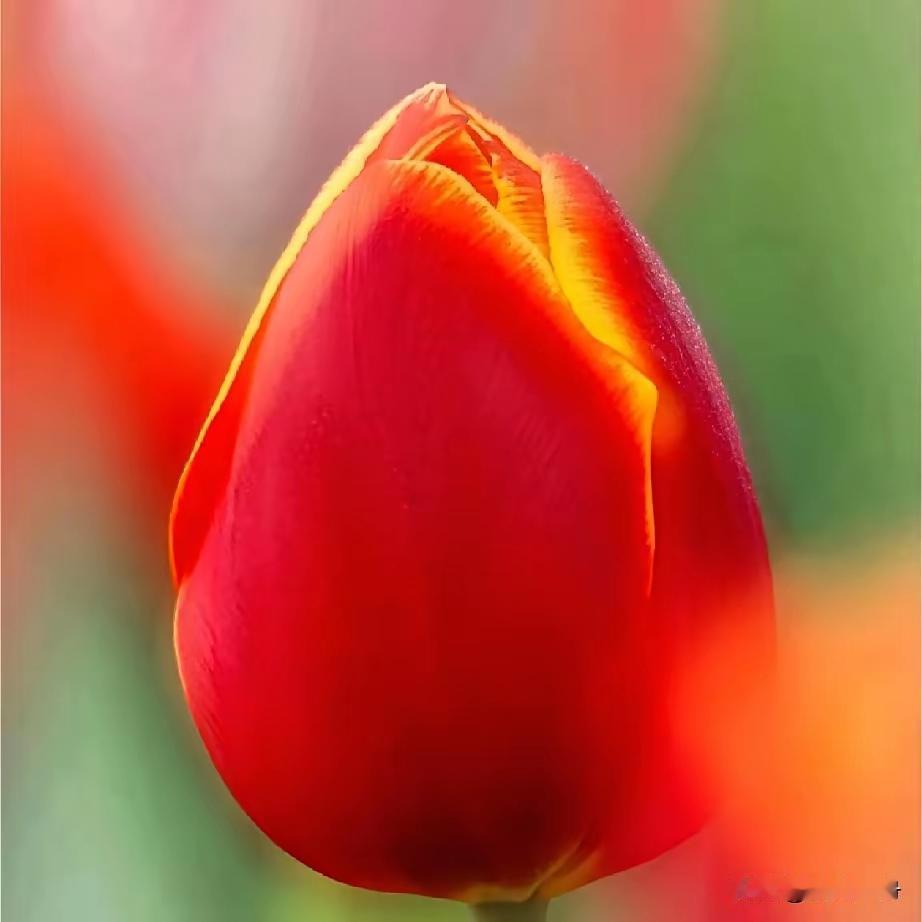 充实的退休生活，这样过就对了1. 养个小爱好：书画、养花、烹饪皆可，让日子