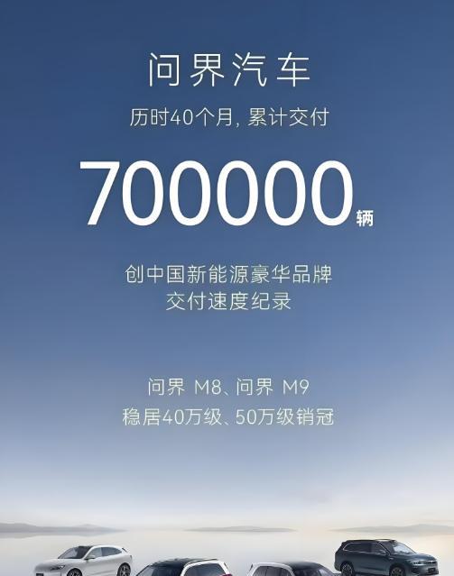 赛力斯净利润和销量彻底失控，华为问界无敌是多么寂寞。2024年，赛力斯第一季度