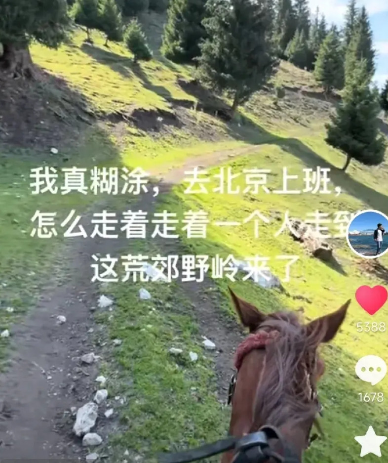 董宇辉“糊涂”着去打“暑假工”了！半个月没个身影，原来是“迷路”了！找不