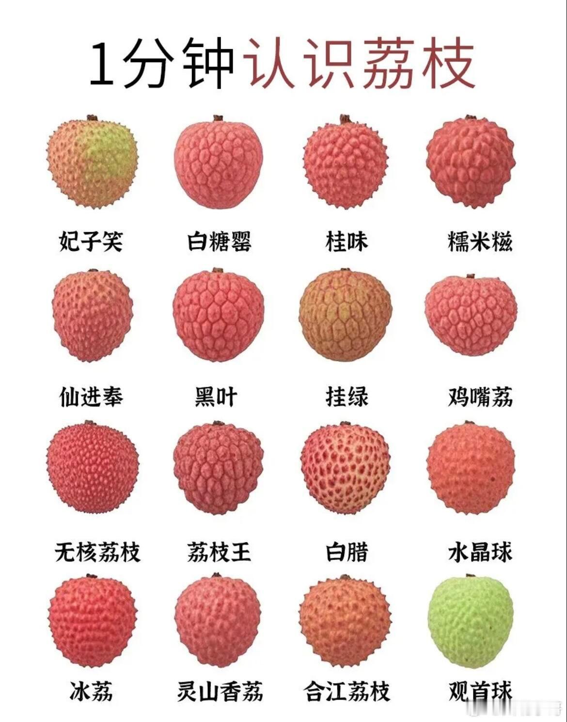 电视剧长安的荔枝一分钟认识荔枝，完全搞懂各类荔枝品种，边追剧还可以学到知识。