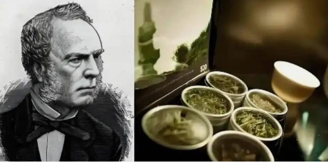 核心技术保密到底有多重要？看看19世纪的茶叶就知道了！英国人福钧深入大山，记录下