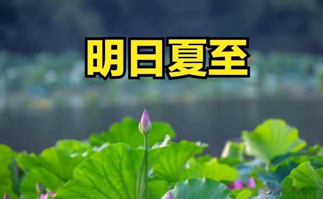 明日夏至，提醒中老年：1不洗、2不吃、3要忌、4要忌、4要吃，盛夏别大意明