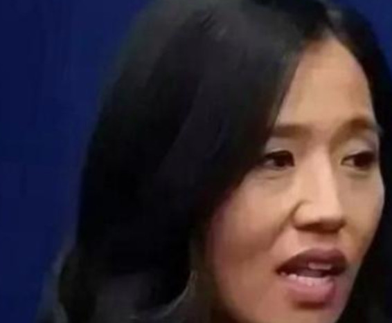 这话够震撼！美国波士顿华裔女市长吴弭，竟公开表示，在美国，诸如商店小偷小摸、砸毁