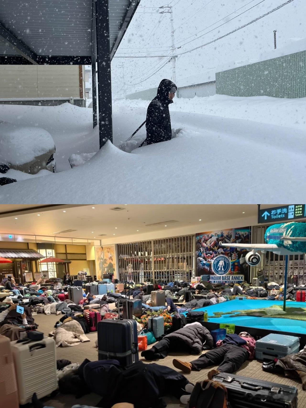 北海道这事儿闹得我看评论区比新闻本身还精彩本来想着同胞受难大家得心疼两句，