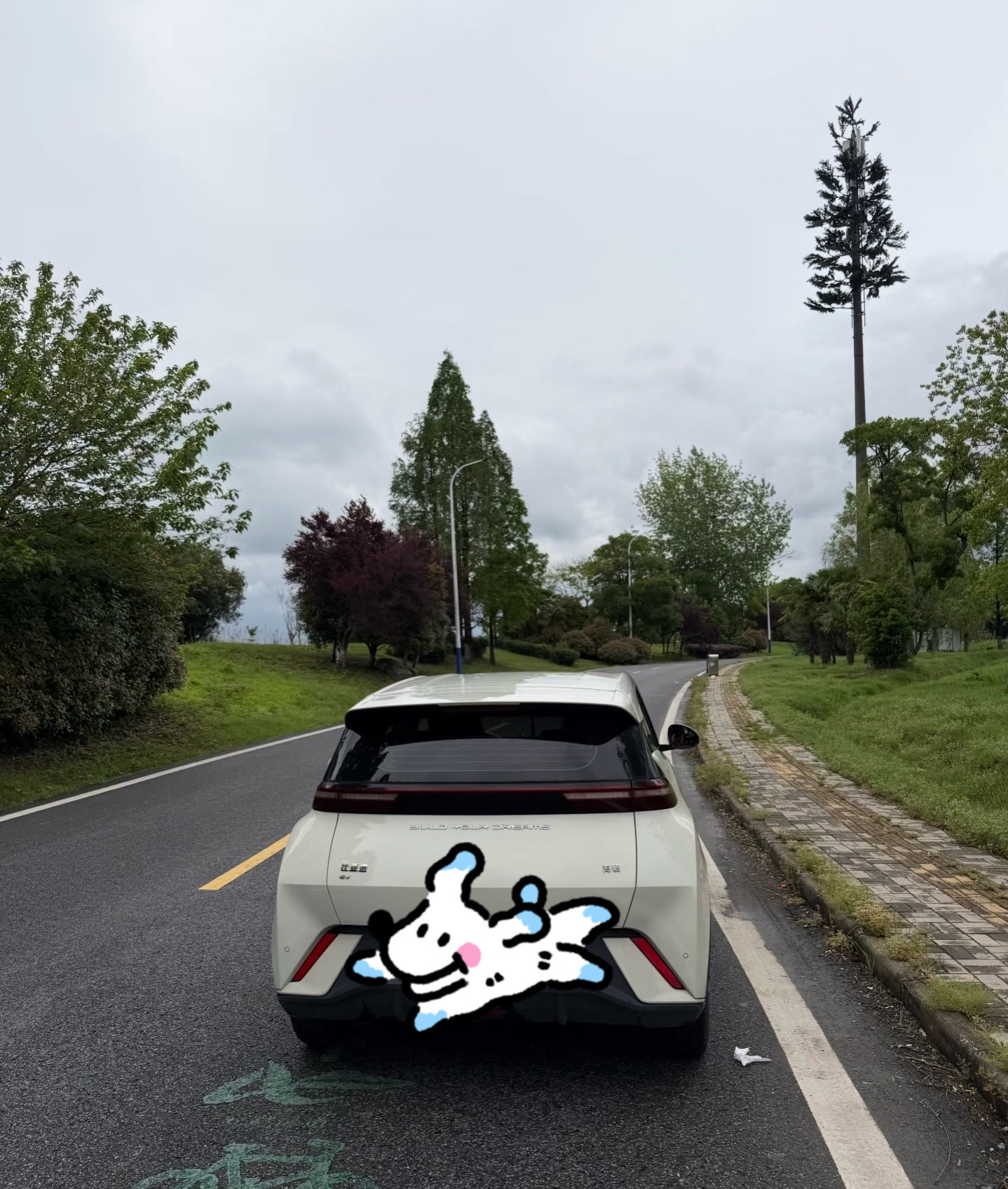 买电车一年，掏心窝说说真实感受，这些坑买车前一定要想明白当初选海鸥，就是看中它车身小巧，城市接送孩子