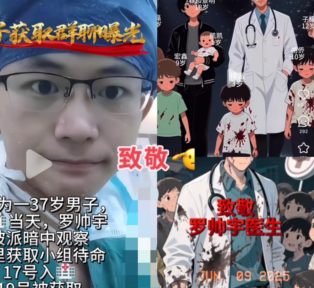 地狱空荡荡，<em>恶魔在人间</em>。当手术刀变成牟利的工具，当白大褂下藏着吃人