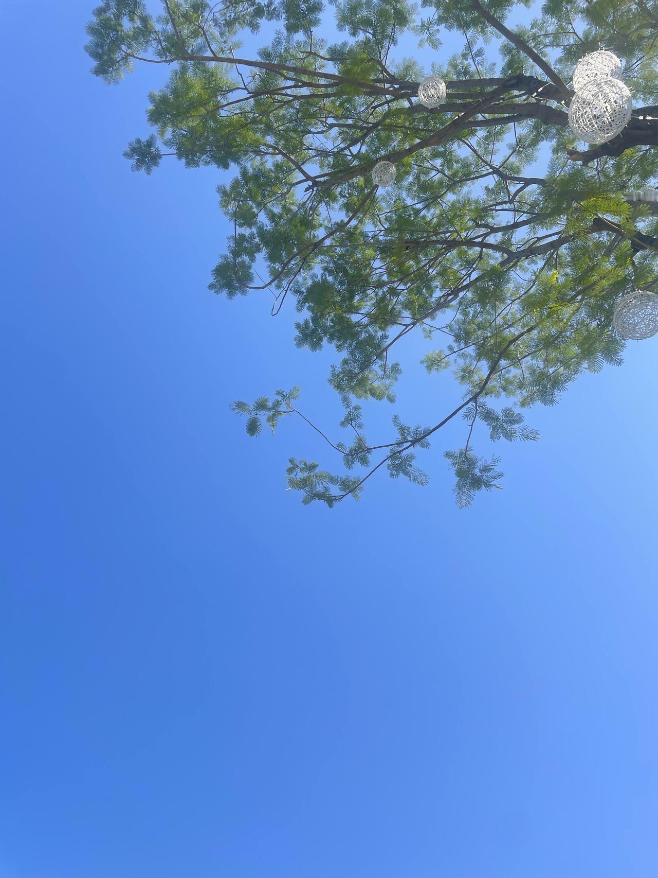 我发现中年人，改掉这五个习惯后，生活过得越来越幸福。第一：不买包包记得年轻