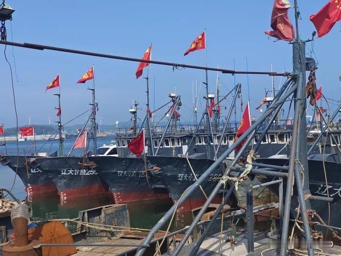 不查不知道，一查吓一跳，渔业安全漏洞深不可测凌晨两点，大连甘井子港的潮水刚退