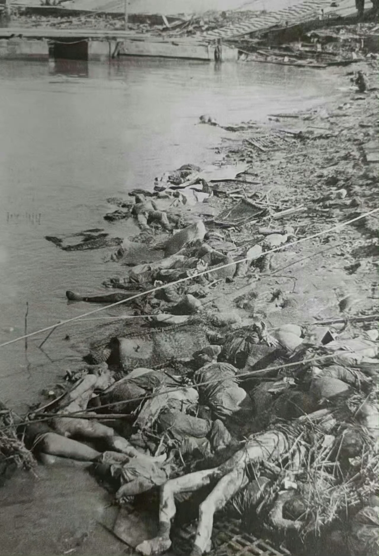 这是《南京大屠杀史实展》中展出的一张长江边死难者尸体的照片，惨不忍睹。