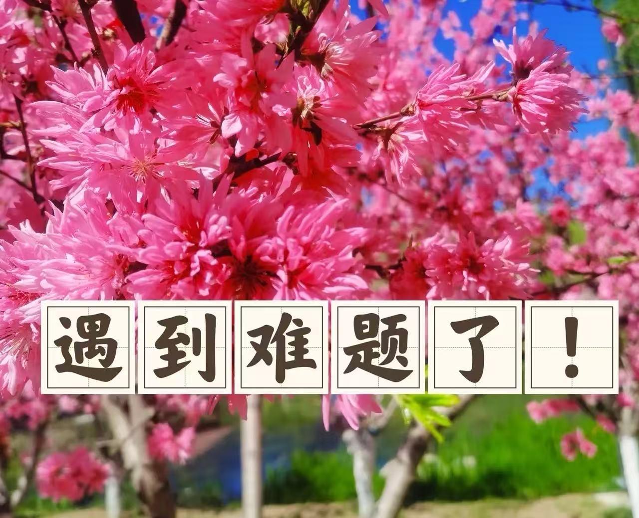 大妈遇到了一个难题了！她退休金3500，一个人生活逍遥自在，每天可以跳跳广场舞。