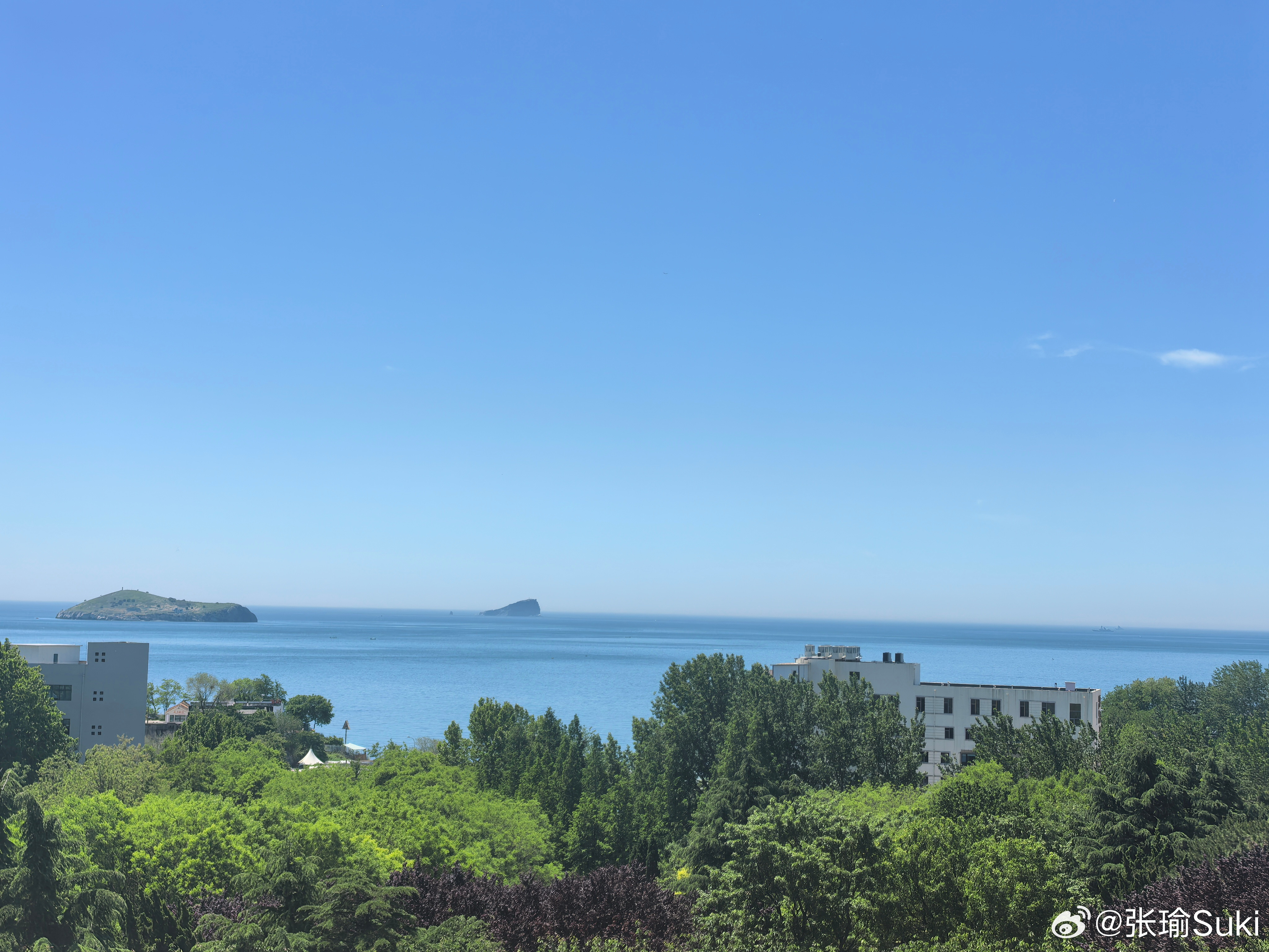 大连天气现在非常舒适，就是听说樱桃裂了，拥无啥啊？大连·大连国际金融会议中心海