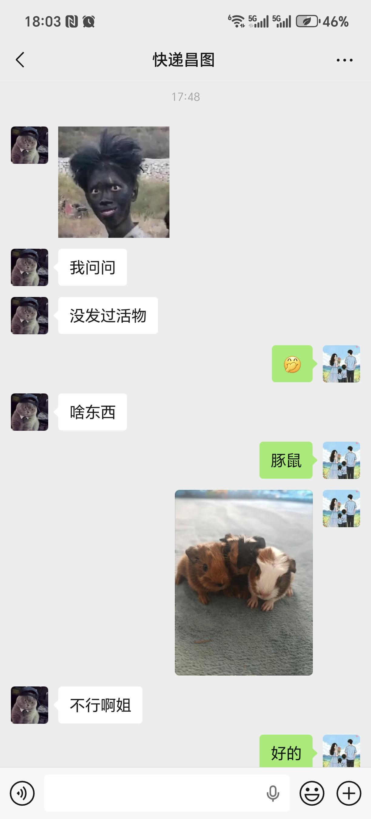 上个视频好多说想要猪的，太远的没必要啊大家，邮费都得40，而且别的快递...