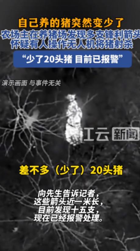 湖南长沙，一男子因事外出一个多月，回家直奔山上的散养猪场，没想到，养了5年的