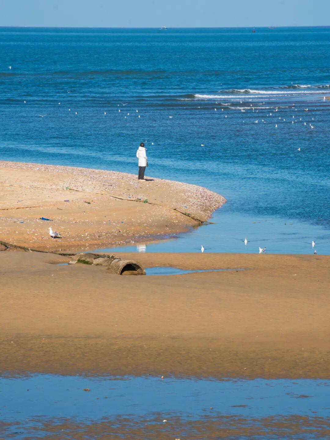 当领导打压你，按要求完成本职工作就是你的“定海神针”。之前我有个同事，领导总给他