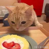 猫咪通常不会有想吃人的想法。从进化和天性来看，猫咪虽然是肉食性动物，但其体型