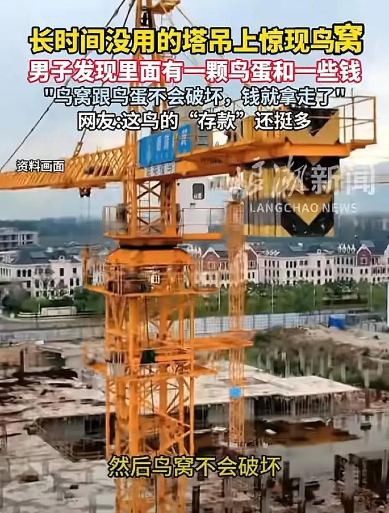 太震惊了。陕西西安的一个男子长时间没有回吊塔，开工的第1天回去看到。喜鹊竟然在他