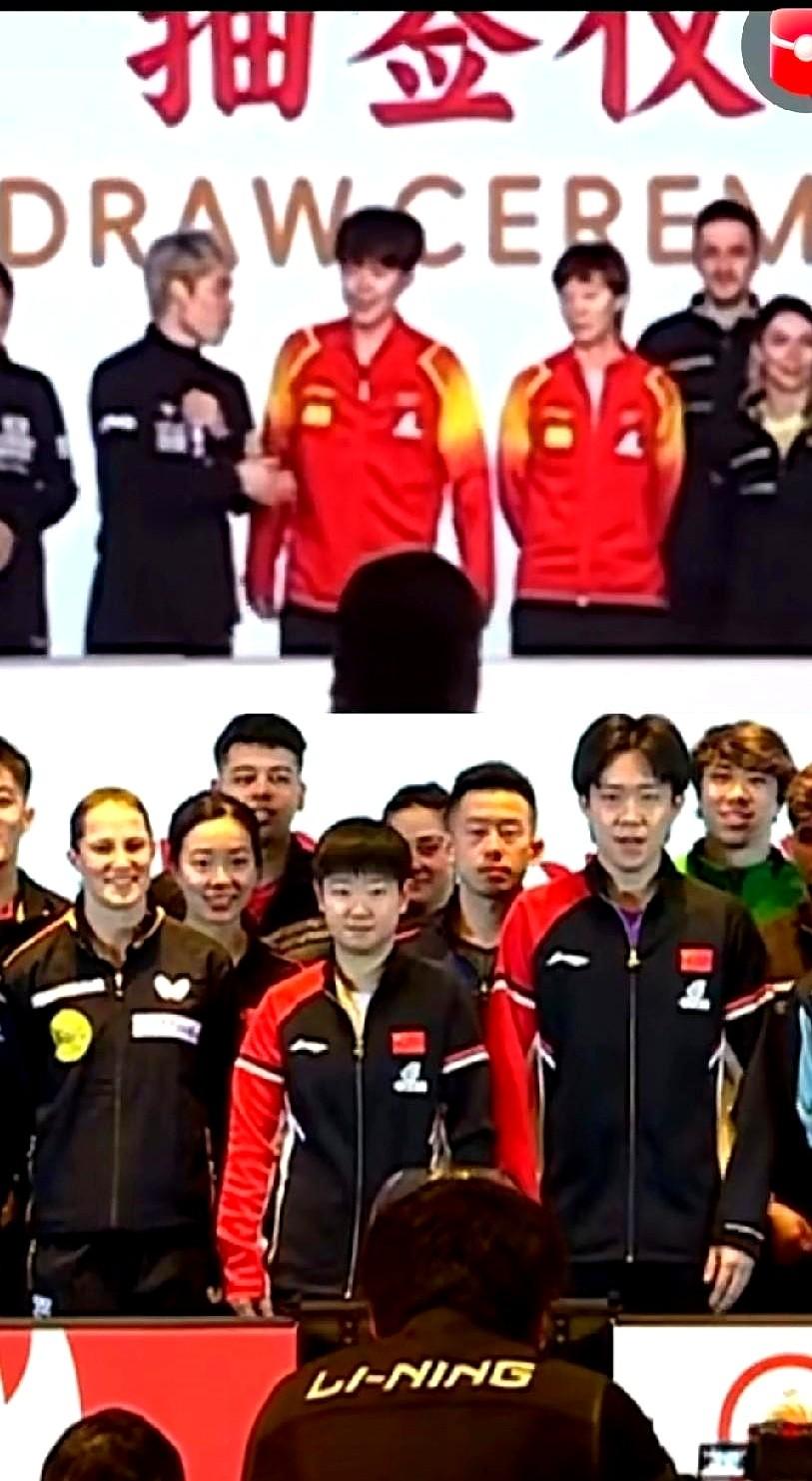 看看去年签约仪式那张合影，王楚钦和王曼昱明明站在C位，两人中间却像隔了条银河。台