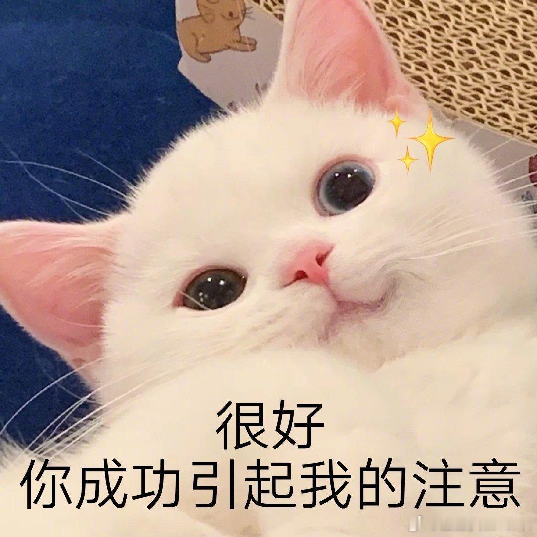 12星座恋爱里的“致命雷区”（踩中必死）白羊：别磨叽，别撒谎，别挑战TA的底线金