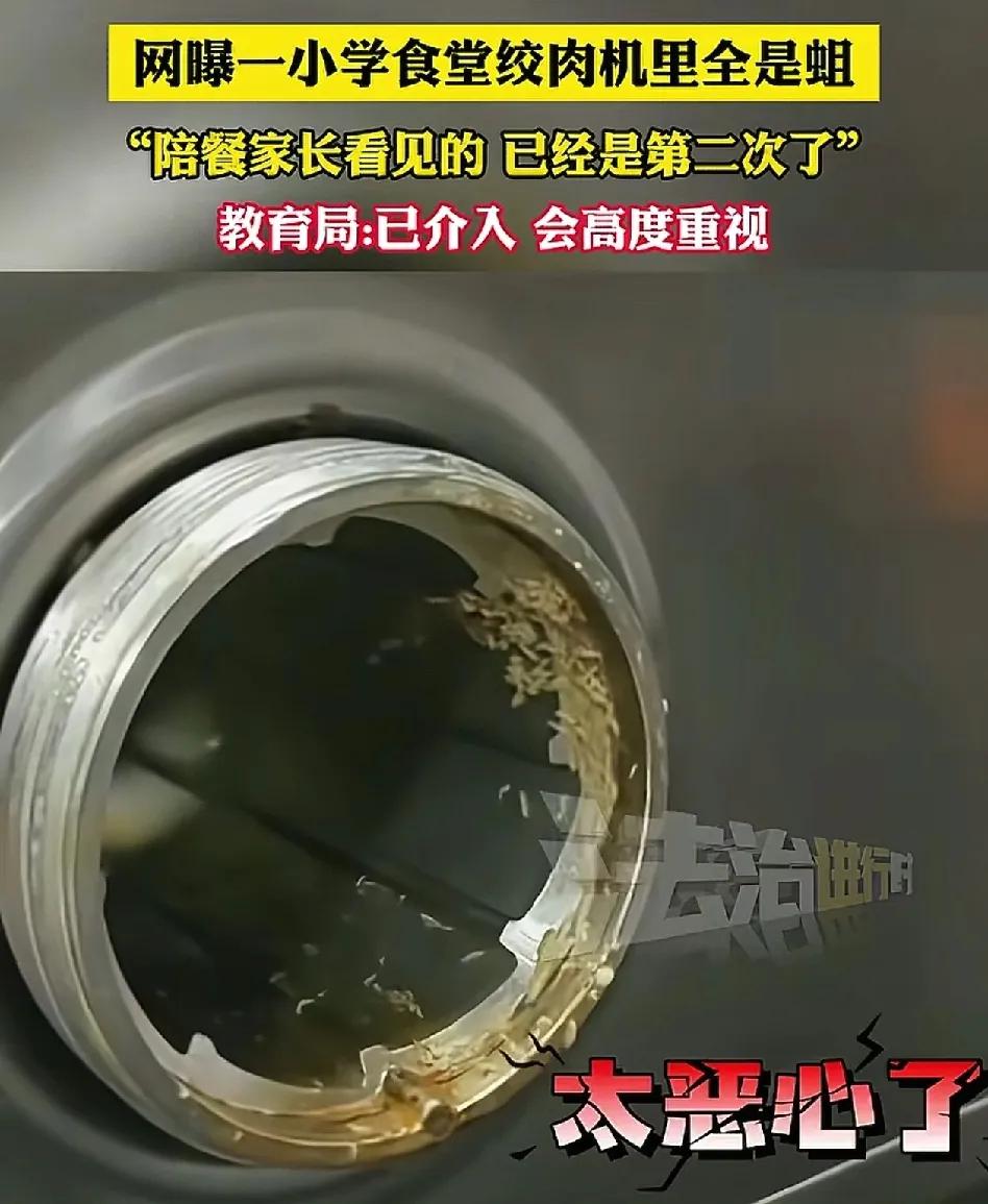 浙江余姚某学校家长陪餐发现绞肉机有活蛆！官方通报属实，食堂已全面消杀，将严查相