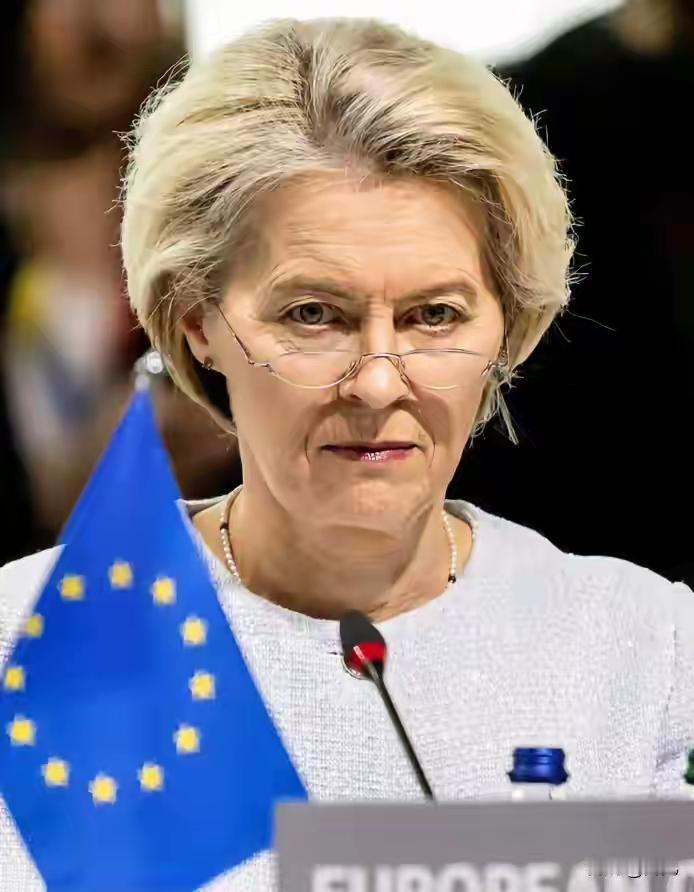 欧洲议会风波再起！波兰议员激情演讲，欧盟民主进程引发热议最近在布鲁塞尔召开的