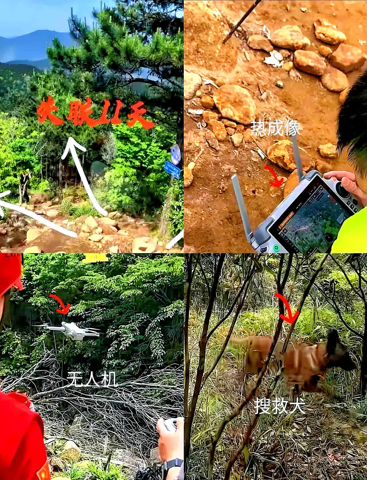万万没想到，福建莆田那边大半夜发了个通知！5月15号那天，仙游县西苑乡政府确