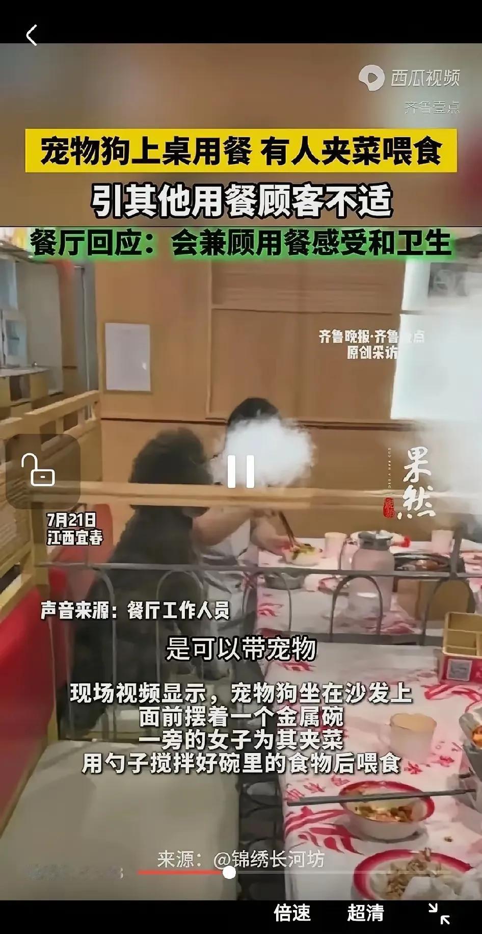 如果狗上桌子了，这家饭店就离倒闭不远了