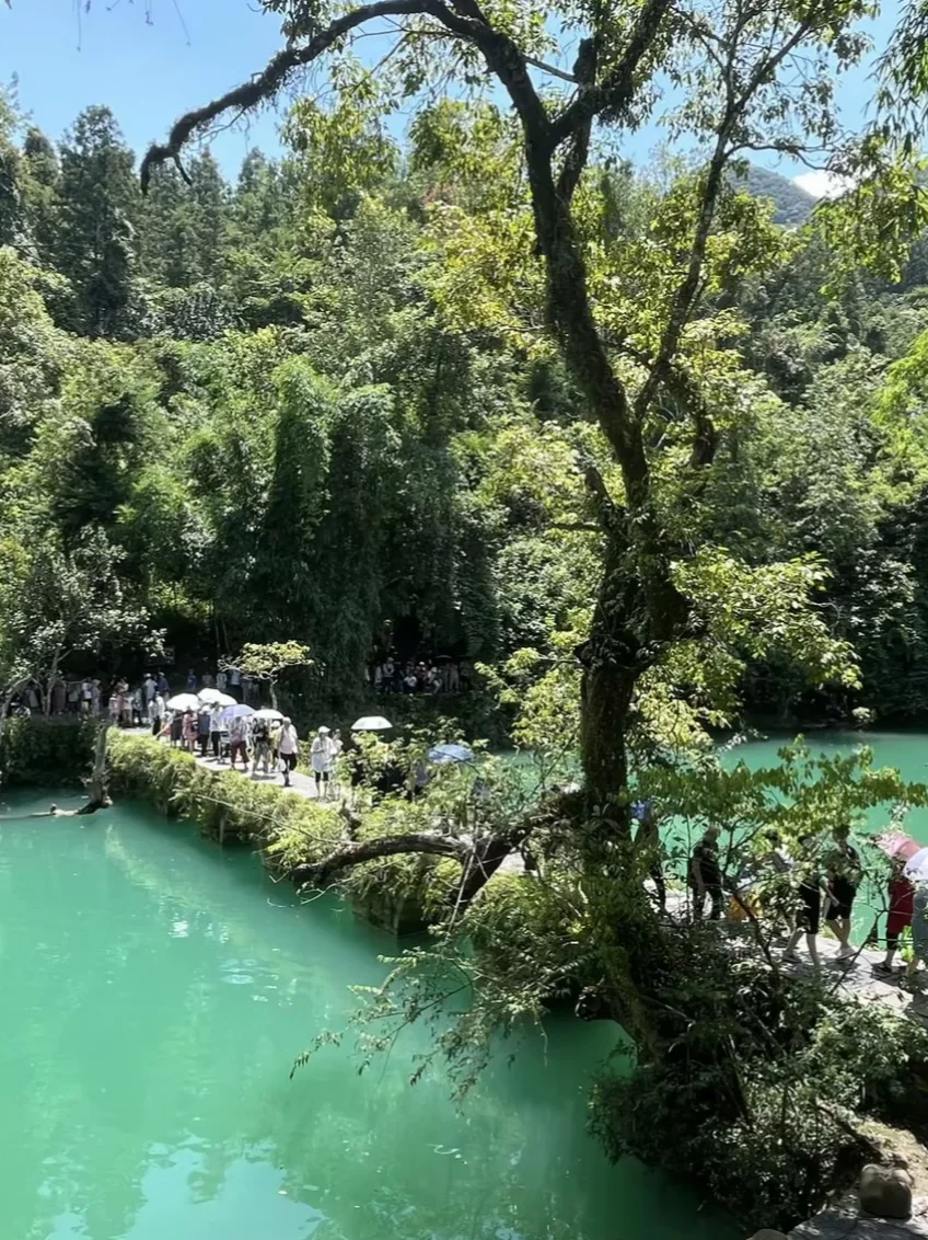 夏日避暑好去处