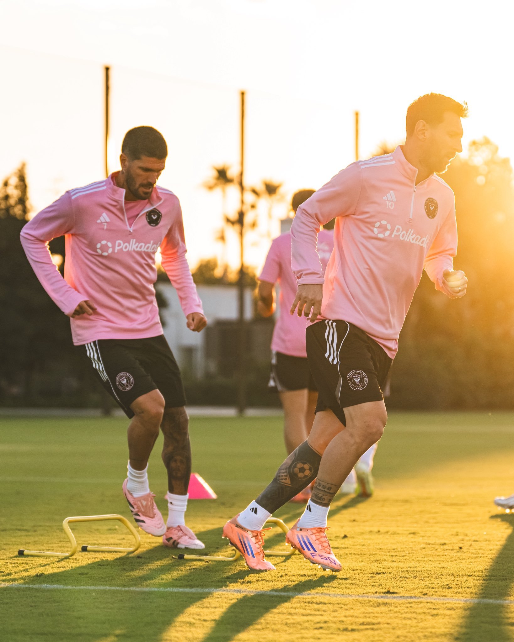 今天训练的梅梅