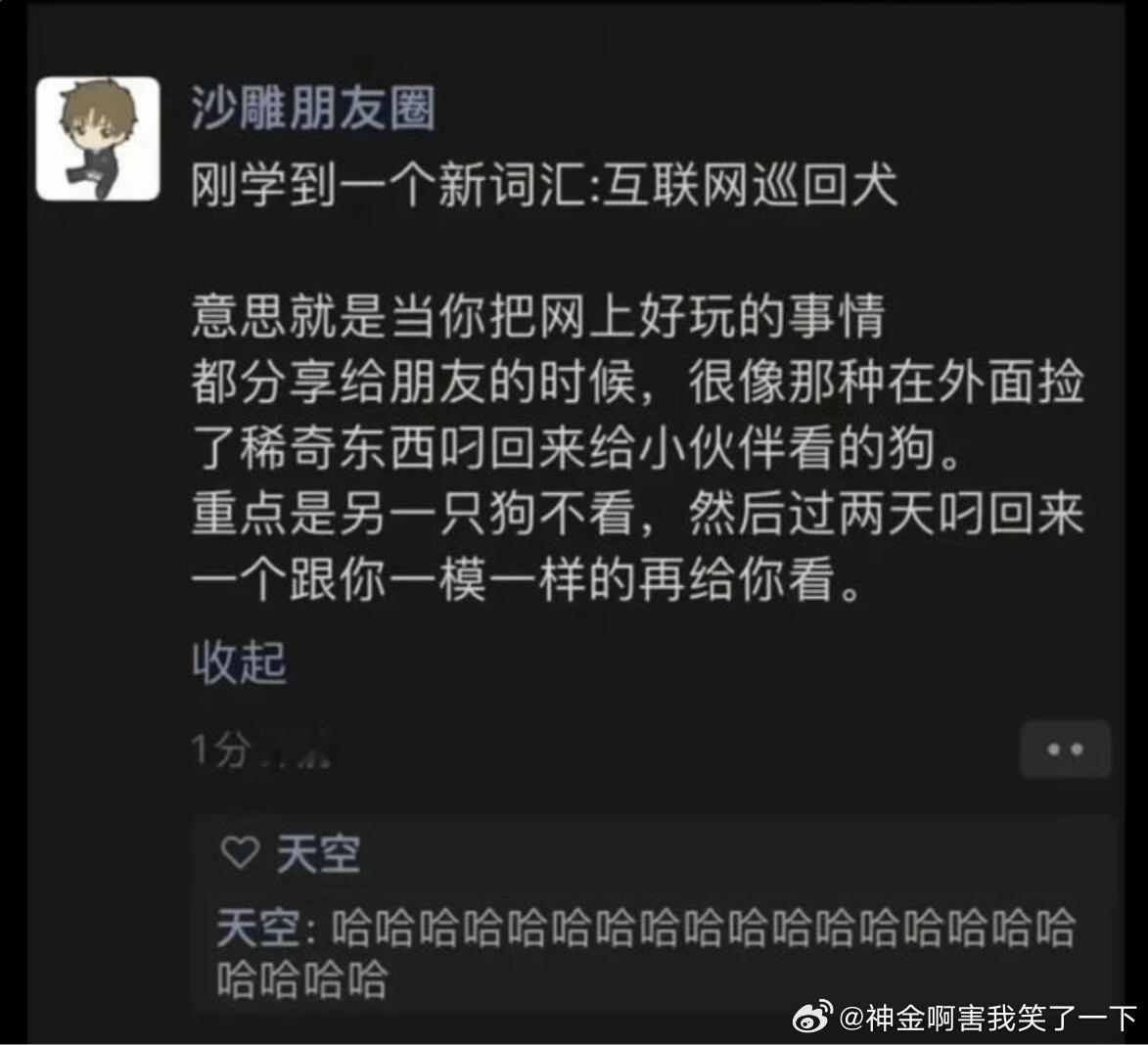 4853互联网巡回犬​​​